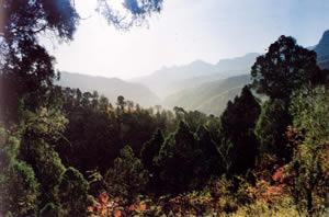 仙臺(tái)山